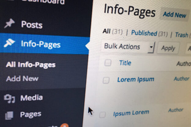 WordPress CMS: Custom Content / Types